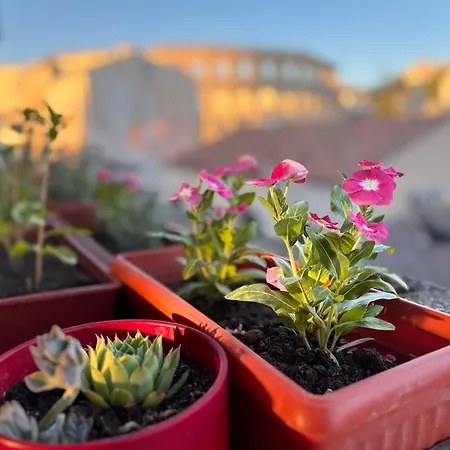 Colosseum Retreat Apartment *