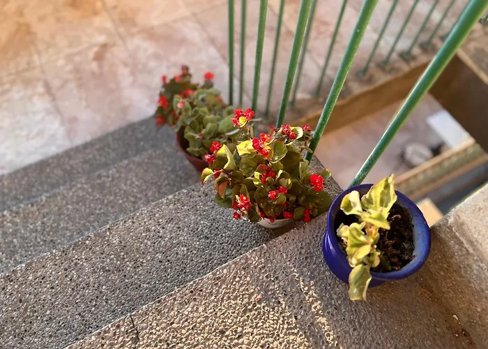 公寓 Colosseum Retreat 普拉