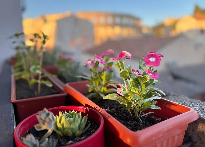 Colosseum Retreat Apartament *