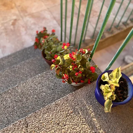 Apartman Colosseum Retreat Póla